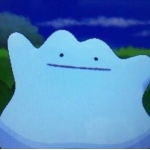 るひと