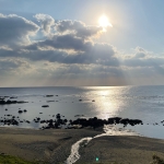userPhoto