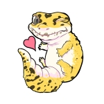 くぼちゃんねる