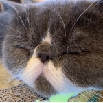 ユーザー画像