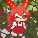けーしぃ