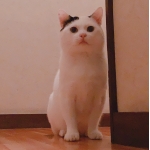 ユーザー画像