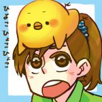 ひよこ豆
