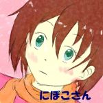 にぼこ