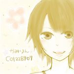かみりん