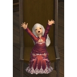 Sora