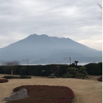 はりかもん