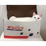 userPhoto