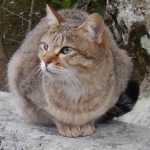 ユーザー画像