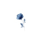 userPhoto