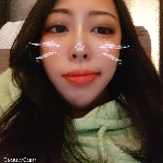 みゃーすけの飼い主