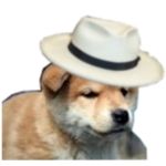 アスペクト比P