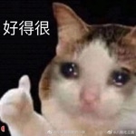 userPhoto