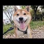 そよかまみー