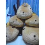 カピバラ