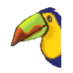 女医（鳥）