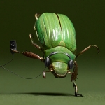 虹色クワガタ