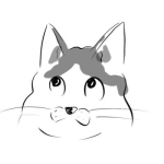 つき。
