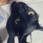 ユーザー画像