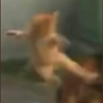耳川2