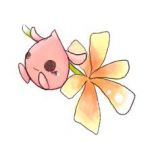 桜瀬グミ