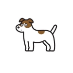 userPhoto