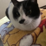 userPhoto