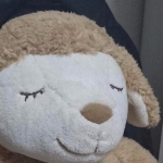 ノラジウム