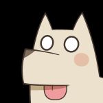 のらいぬ