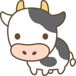 userPhoto