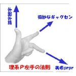 理系P