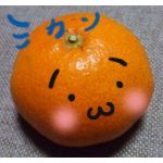 みかん（色々マニア