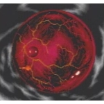 日野森晃