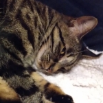 userPhoto