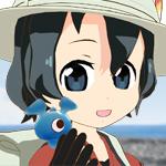 冷めやすいスナネコ
