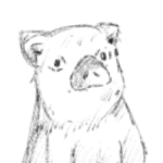 userPhoto