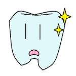 前歯。