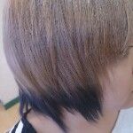 まや＊生命体