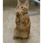 なしざきさん