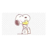 ノロ～ル