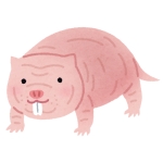 ハダカデバネズミ