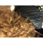 userPhoto