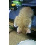 userPhoto