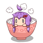 ゆかりごはん