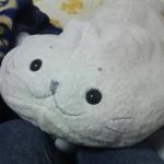 userPhoto