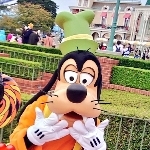 moei