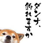 うめぼし