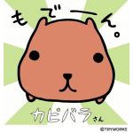カピバラっちょ