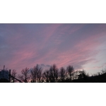 userPhoto