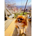 userPhoto